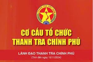 Cơ cấu tổ chức Thanh tra Chính phủ (tính đến ngày 15/11/2024) 