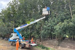 Đảm bảo an toàn hành lang lưới điện cao áp