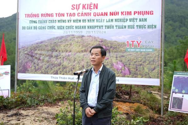 Trồng cây tại núi Kim Phụng, tạo thêm điểm nhấn cho du lịch Huế