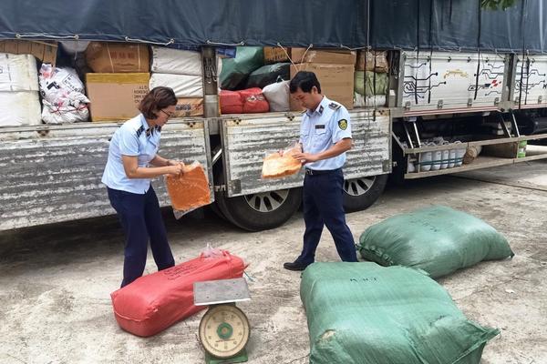 Quảng Nam: Thu nộp ngân sách hơn 5,5 tỷ đồng