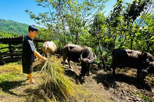 Chương trình 1719: Đổi thay từ chính sách hỗ trợ đến cuộc sống mới của đồng bào vùng biên Thanh Đức