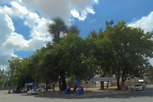 Công ty CP Tư vấn Kiểm định và Khảo sát Xây dựng kê khai gian lận trong đấu thầu?