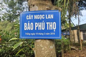 "Vườn cây báo Đảng” vươn mình tỏa bóng, ngát hương trên đất thiêng