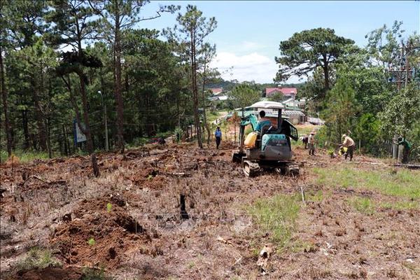 Vĩnh Phúc: Không công nhận nội dung khiếu nại của bà Nguyễn Thị Tĩnh