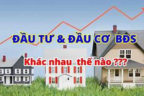 Thanh tra, kiểm tra các dự án đầu tư xây dựng bất động sản