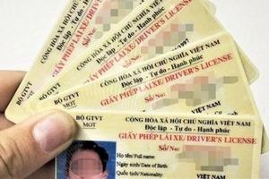 Lào Cai: Tiếp tục cấp đổi, cấp lại giấy phép lái xe cho người dân