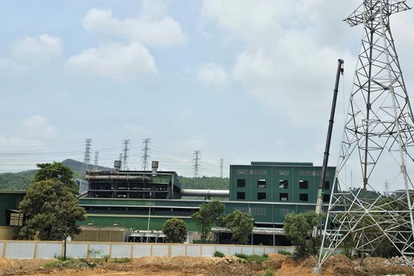 Công ty Lionas Metals tự ý vay nợ, không phân chia lợi nhuận và không công khai tài chính có đúng quy định của pháp luật?