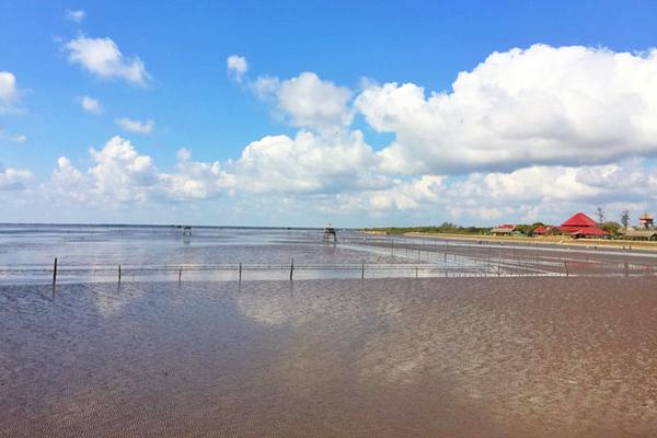 Tiền Giang: Sai phạm hơn 326,7 triệu đồng tại Ban Quản lý Cồn bãi huyện Gò Công Đông