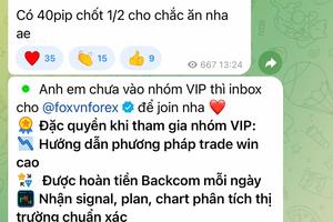 Sinh viên mắc vào vòng xoáy lừa đảo chứng khoán