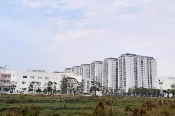 Hà Nội tăng cường thanh tra, kiểm tra, xử lý vi phạm về đất đai, môi trường