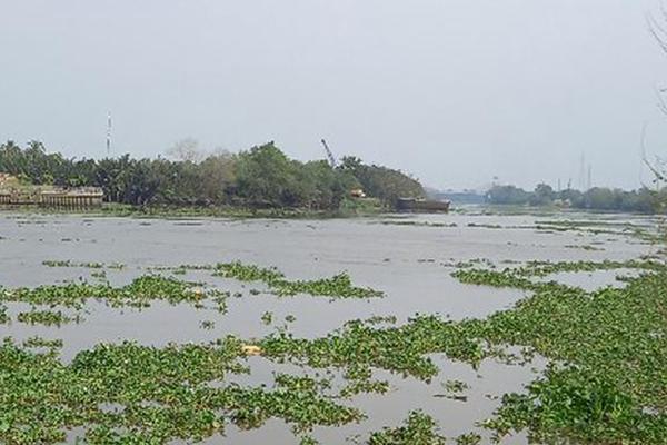 Mặn ở Đồng bằng sông Cửu Long có xu thế giảm