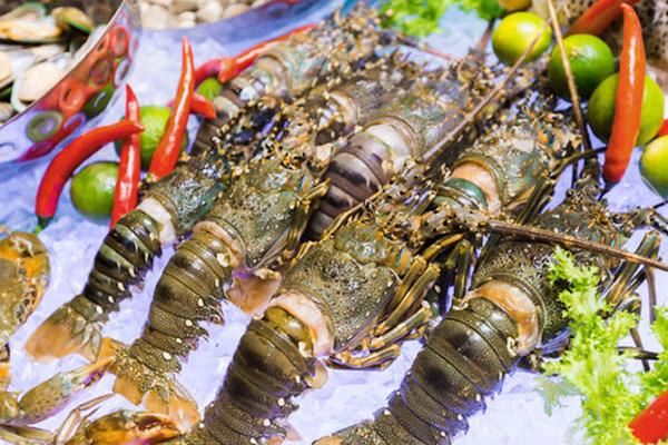 Xuất khẩu thủy sản tăng trưởng ấn tượng: Tôm tiếp tục là điểm sáng lớn nhất