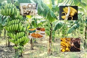 Cơ hội của doanh nghiệp tư nhân trong phát triển kinh tế tuần hoàn