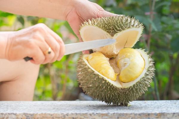 Sầu riêng đông lạnh - động lực mới cho xuất khẩu trái cây