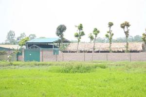 3 chủ tịch xã ở Hà Nội bị tạm dừng điều hành công tác