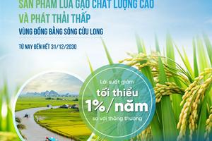 VietinBank cho vay ưu đãi, phát triển nông nghiệp bền vững vùng Đồng bằng sông Cửu Long