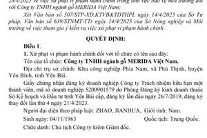 Yên Bái xử phạt 320 triệu đồng Công ty TNHH ngành gỗ MERIDA Việt Nam