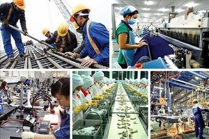 Số doanh nghiệp đăng ký thành lập mới giảm so với cùng kỳ năm 2024