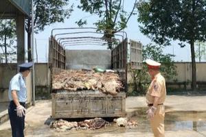 Thanh Hóa: Tiêu hủy gần 5 tấn da trâu bò không rõ nguồn gốc