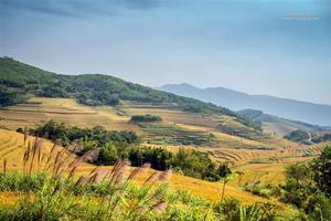 Hòa Bình chấp thuận chuyển mục đích hơn 29 ha rừng làm dự án Khu đô thị sinh thái đồi Thung