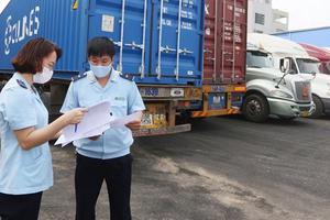 TP. Hồ Chí Minh: Nhiều doanh nghiệp bị tạm dừng thủ tục hải quan vì nợ thuế