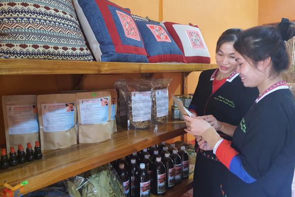 Quảng Ninh: Thúc đẩy doanh nghiệp tư nhân, tạo động lực tăng trưởng
