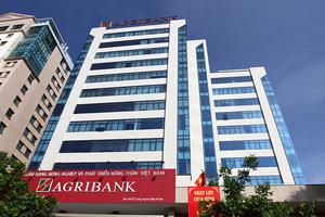 Agribank rao bán 770 tỷ đồng nợ xấu gắn với loạt "đất vàng" ven biển Đà Nẵng