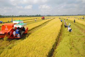 Đề xuất kéo dài miễn thuế đất nông nghiệp đến 2030