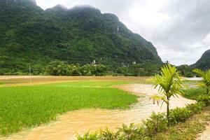 Ứng dụng khoa học công nghệ trong quản lý rủi ro lũ lụt tại Việt Nam
