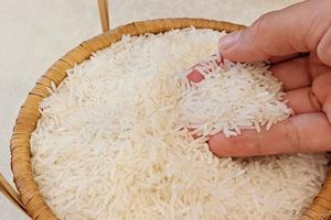Xuất cấp gạo cho tỉnh Cao Bằng dịp giáp hạt đầu năm 2025