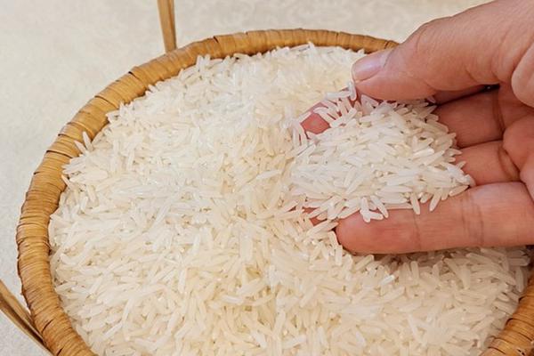 Xuất cấp gạo cho tỉnh Cao Bằng dịp giáp hạt đầu năm 2025