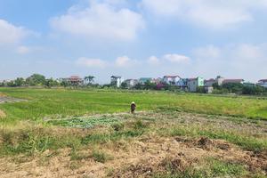 Bắc Ninh điều chỉnh kế hoạch thanh tra, kiểm tra năm 2025