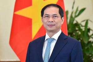 Phó Thủ tướng Chính phủ Bùi Thanh Sơn làm Trưởng Ban Chỉ đạo 389 quốc gia