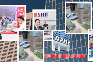Tín dụng tiêu dùng: Lực đẩy kinh tế hay "con dao hai lưỡi"?