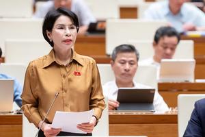 Cần có cơ chế kiểm soát chồng chéo giữa thanh tra và kiểm tra