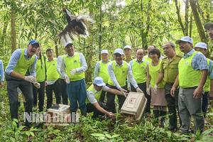 Bảo tồn đa dạng sinh học, bảo vệ môi trường vì một nền kinh tế - xã hội phát triển bền vững