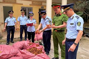 Lạng Sơn: Xử phạt vi phạm hành chính 1.785 vụ buôn lậu, gian lận thương mại và hàng giả