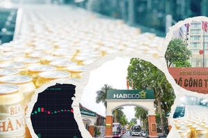 Habeco chi hàng trăm tỷ đồng chia cổ tức: Cổ đông nào hưởng lợi lớn nhất?