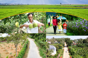 Công nhận 4 huyện về đích nông thôn mới