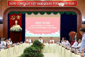 Ban Thường vụ Tỉnh ủy Hà Nam, Ninh Bình, Nam Định nhất trí với phương án sắp xếp nhân sự sau sáp nhập
