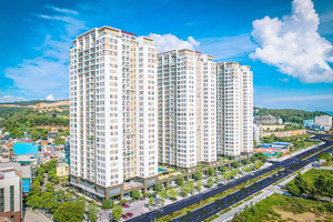 "Sốt" chung cư trong đô thị hiện đại: Thị trường nóng từ nhu cầu thực