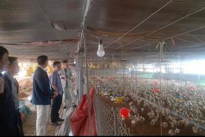 Võ Nhai: Vốn vay giải quyết việc làm – “Đòn bẩy” an sinh bền vững