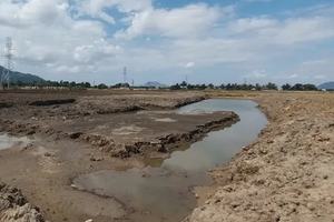 Ninh Thuận: Kê khai không trung thực, Phó Phòng Văn hóa huyện bị kỷ luật