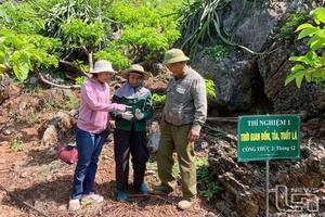 Phát huy hiệu quả vốn vay giải quyết việc làm ở huyện vùng cao Võ Nhai