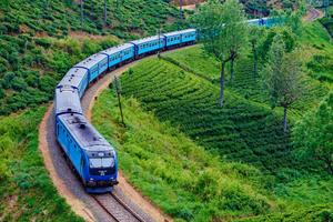 Bộ trưởng Trần Hồng Minh làm Trưởng Ban Chỉ đạo triển khai các dự án đường sắt quốc gia