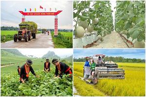 Thành lập Ban Chỉ đạo Trung ương các chương trình mục tiêu quốc gia giai đoạn 2021 - 2025
