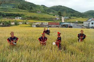 Quảng Ninh có thêm 4 di sản văn hóa phi vật thể quốc gia