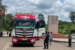 Ngành Hải quan triển khai Tháng hành động phòng, chống ma túy 2025