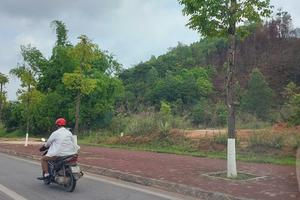 Công ty TNHH Xây dựng Đại Lợi chưa thực hiện các kiến nghị của cơ quan thanh tra