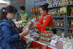 Kinh tế tư nhân – Động lực phát triển mạnh mẽ, bền vững của tỉnh Yên Bái